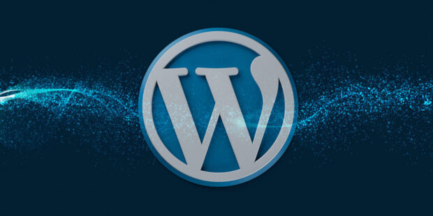 WordPress Development – For Your  Website